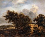RUISDAEL, Jacob Isaackszon van The Thicket oil painting artist